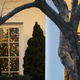 Disgraced President Invited Disgraced Navy Seal to Disgraced Mar-a-Lago